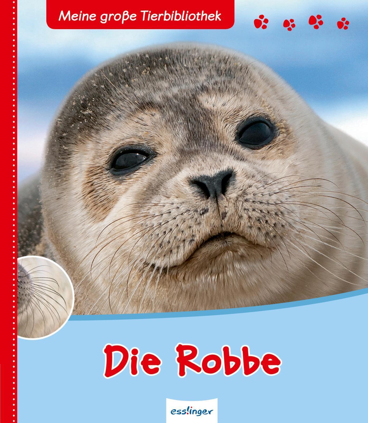 Thumbnail - Valérie Tracqui Die Robbe 9783480224203