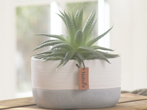 HERB PLANT INDOOR VASE POT WEDDING CERAMIC HOME DECOR GREY WHITE CHRISTMAS HOME - Imagen 4 de 6