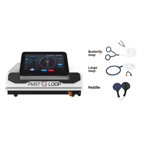 Pemf PMST Loop Immunity Enhancement Pain Relief Bones Repair Magnetic Machine - Picture 8 of 23
