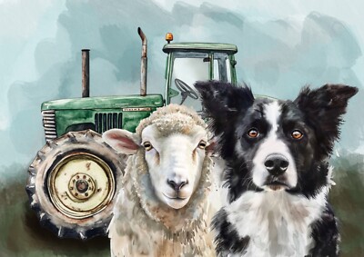 Wall Art Border Collie Working Sheep The Sheepdog A4 Border Collie