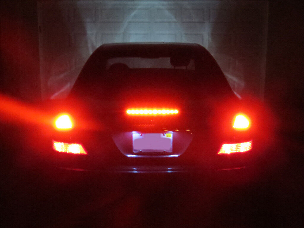 Picture 12 of 12