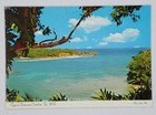 Postcard Typical Jamaican Caostline Jamaica West Indies Coastline Ocean View A4