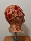 Foto 4 di 10