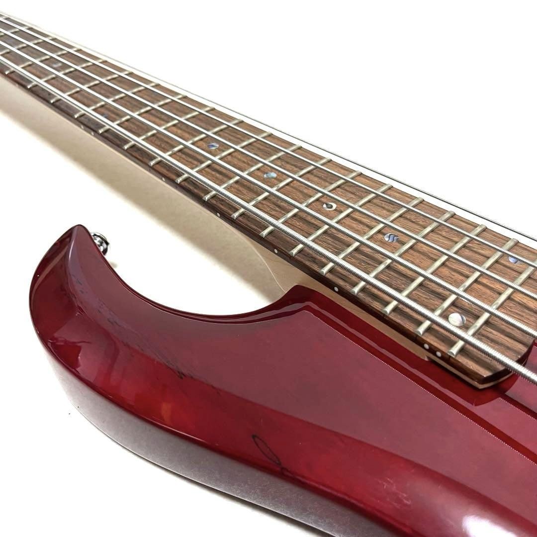 TRABEN ARRAY LIMITED 5 Spalted Red 5弦ベース Traben Array Limited 5 Spalted Red String Bass with Soft