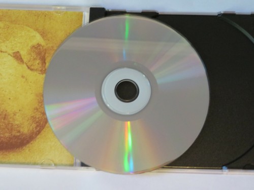 Maquiladora - What The Day Was Dreaming CD 2003 self recorded rock Darla records - Imagen 3 de 4