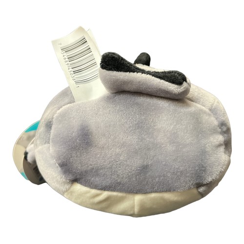 Squishmallows 5 Zoll Gordon grauer Hai Plüsch - Bild 4 von 4