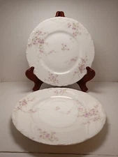 2 Theodore Havilland /Abraham French Comp./Shabby Chic / Salad/ Desert China