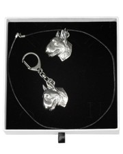 Bull Terrier 2 - necklace, keyring, set with a dog in white box, Art Dog USA