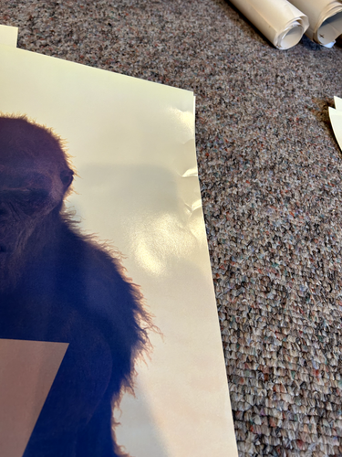 2024 Godzilla X Kong Original Movie Poster ADV Double Sided, Rolled, 27x40!!! - Foto 3 di 5