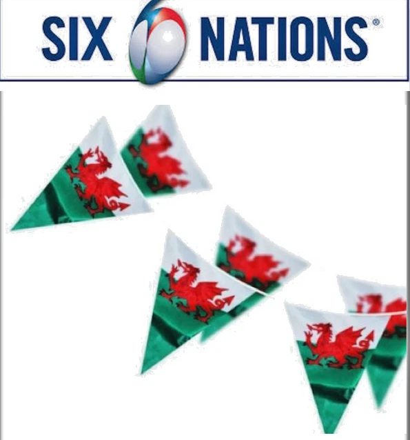 Scotland Bunting Scotland Rugby 6 Nations Bunting - 10 Meter Navy Blue Triangle Flags Scotland Rugby Ball - Foto 9