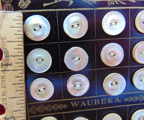VINTAGE "WAUBEKA SUPERIOR QUALITY"~24 ABALONE SHELL BUTTON CARD~IRIDESCENT WHITE - Picture 4 of 6
