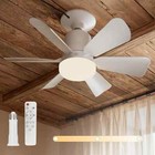 Socket Ceiling Fan with Light, 16.5” 21W LED Screw Socket Fan Light