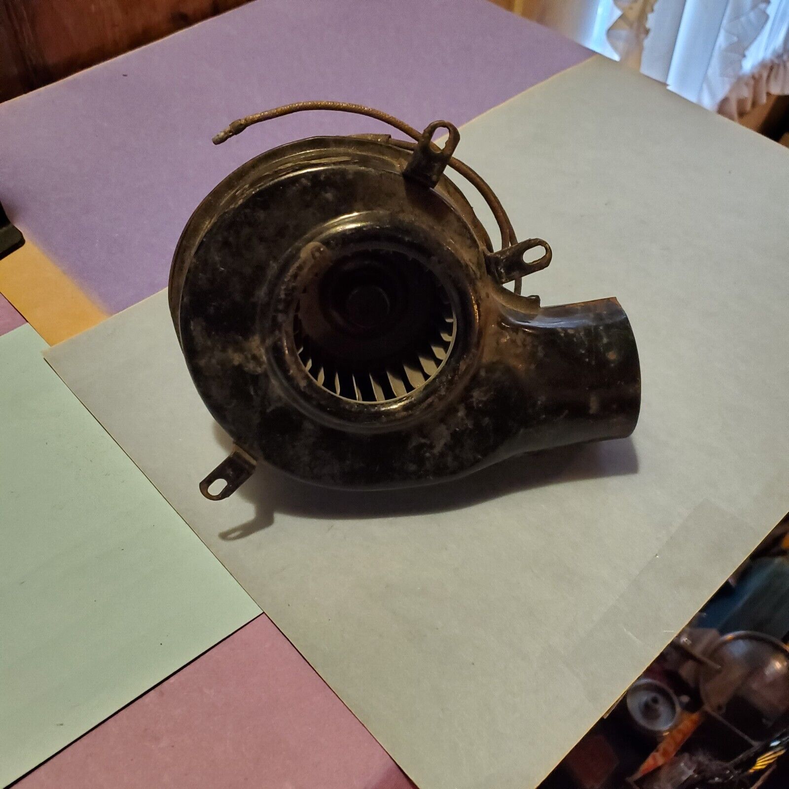 Picture 4 of 5