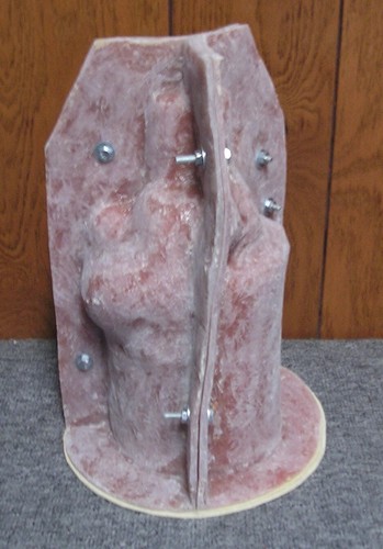 1624 Raccoon In Garbage Masked Rodent Animal Latex Fiberglass Production Mold - Picture 3 of 5