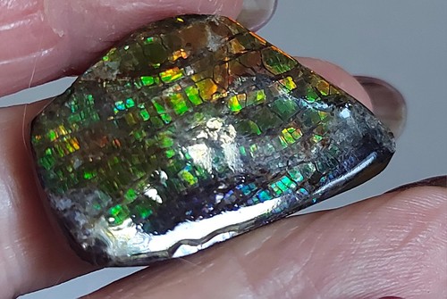 Ammolite Ammonite Coated Stone 38.7x23.6x5.5mm 18576 - Picture 3 of 5