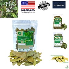 Finest Dried Soursop Leaves - 0.75oz Pure Natural Tea for Refreshing Relaxation