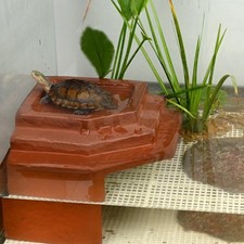 Turtle Basking Platform Reptile Hides Cave Hiding Aquarium Ornament Fish Tank