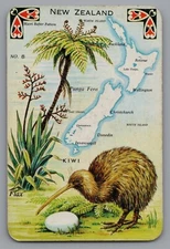 S) ONE Single Swap Playing Card Artistic King Of Spades Artistic Birds Vintage