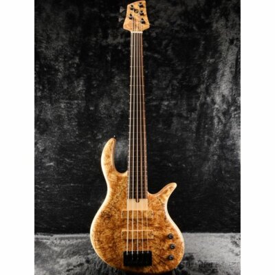 Elrick Gold Series e-volution 5弦 Natural Elrick Gold Series e-volution 5 Natural | eBay