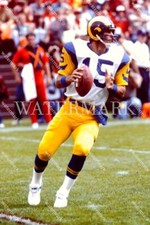DN218 Vince Ferragamo St Louis Rams  8x10 11x14 16x20 24x36 Photo