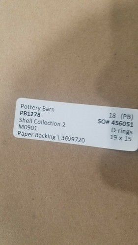 NEW Pottery Barn Framed 20" x 16" Shell Collection Print #2-DISCOUNT - Picture 3 of 5
