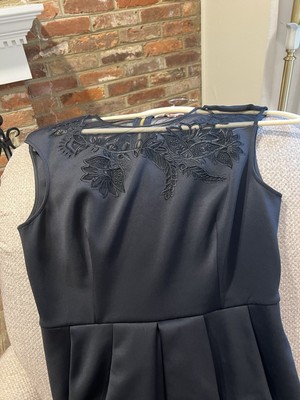 Ted Baker  Lockley  Lace Yoke, Pleated Front Black Dress MSRP $295 NWOT
