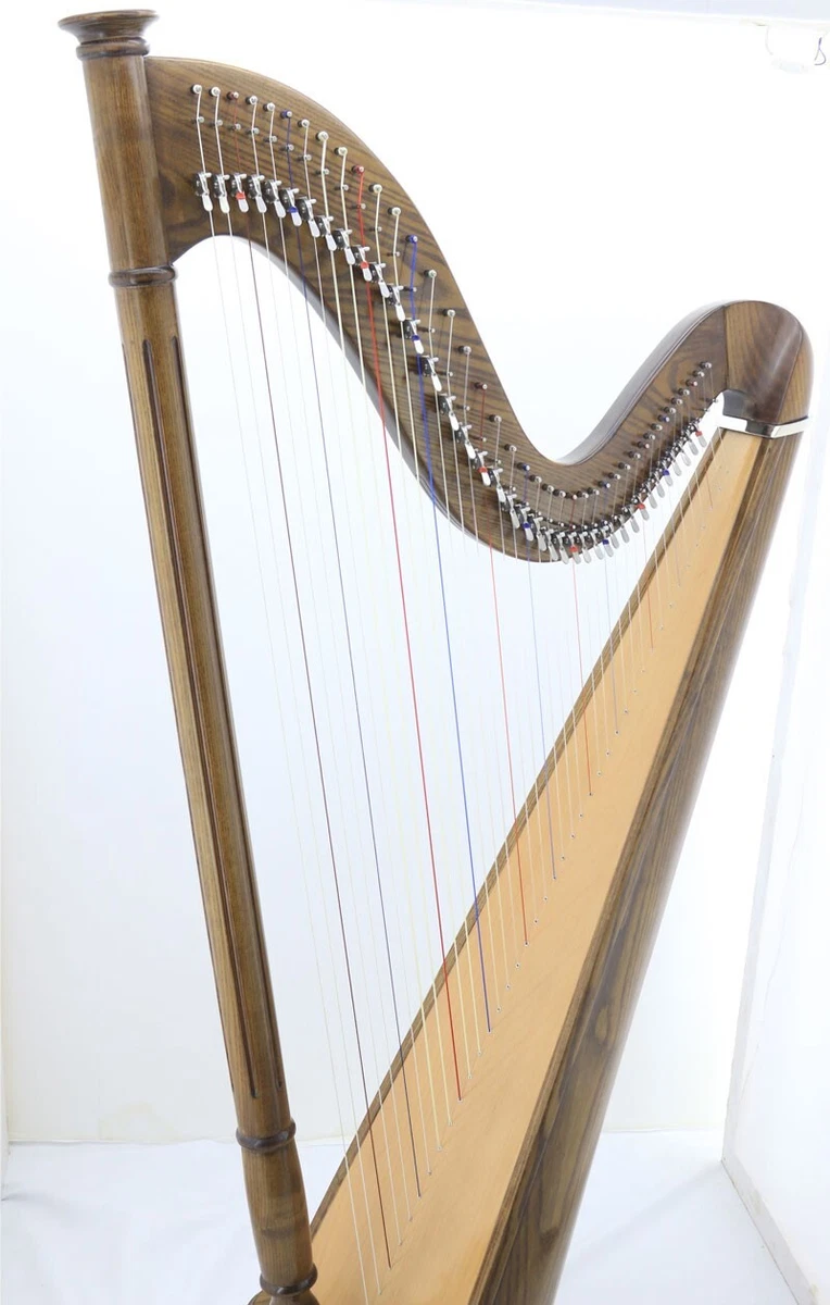 40 string harp outlet