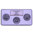 2001-2003 1oz Silver Eagles 3-Coin Triple Slab - NGC MS 69 - Gem Uncirculated