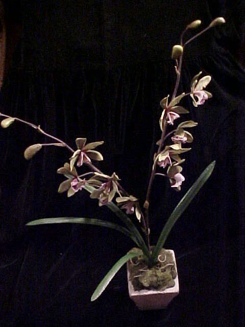 Bild 1 von 1