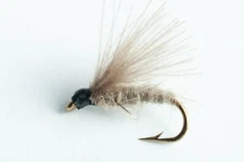 CDC Caddis Dry Fly, 6 Pack