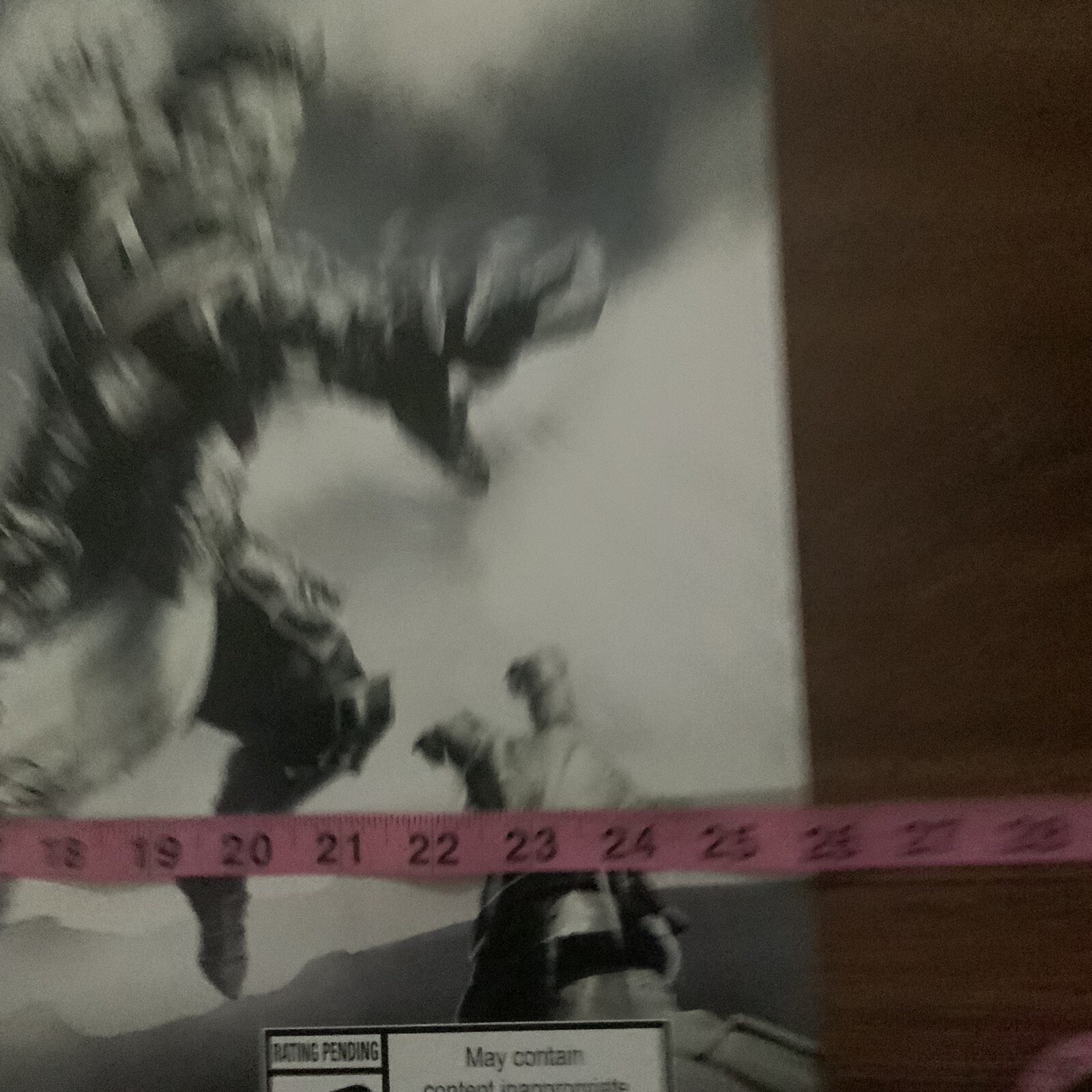 Picture 3 of 4