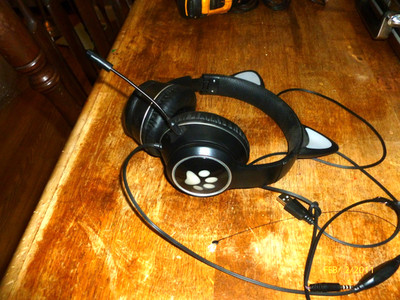 dog Paw  Headphones,  Gaming Headset for  PS4