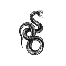 temporary tattoo - Set of two wrist size Snake  approx. 1.5" each 