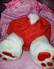 Build-a-Bear with Extra Clothes, Shoes, & Adoption Certificate — photo 8
