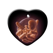 The Work of His Hands Pro-Life Ornament Pack of 10