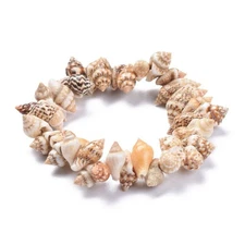 Surfer Natural Spiral Shell Unisex Stretch Beaded Bracelet Conch 7"
