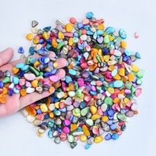 250g Natural Sea Shell Mosaic Tiles Art Craft Material Various Irregular Quality