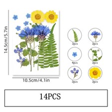 14PCS Real Pressed Dry Flower collection, yellow Flower with leaf stem FSS505