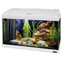 Acquario Ferplast CAYMAN 50 SILVER - 40 LT.