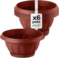 Plant Pots Set of 6 | 10 Inches Garden Bowl Planter | Wide Shallow Planter | Bes