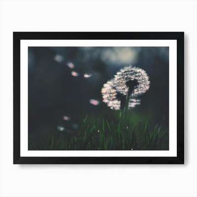 Pusteblume - Make a Wish Kunstdruck gerahmt Wandbild Poster Leinwanddruck Bild