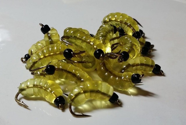 download wax worms for trout fishing download wax worms for trout fishing