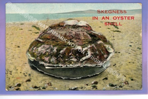EARLY 1913c OYSTER SHELL SKEGNESS LINCOLNSHIRE NOVELTY FOLD OUT HUMOUR POSTCARD