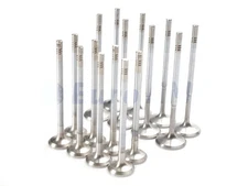 Mercedes Benz Intake & Exhaust Valves Set (16) 2.0 I4 Turbo M270 M274 Engine