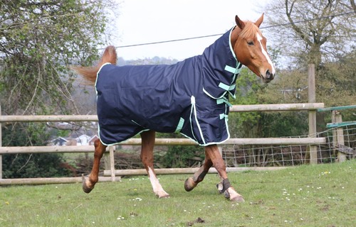 Alfombra de caballo ligera sin relleno 600D estándar y combo cuello impermeable - Imagen 25 de 38