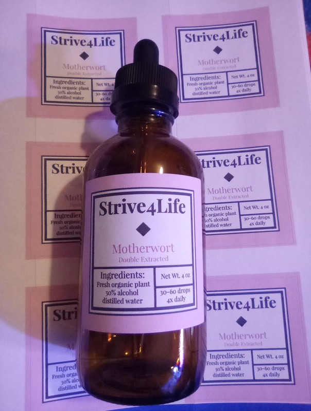 Motherwort Herbal Tincture Organic, 4oz bottle