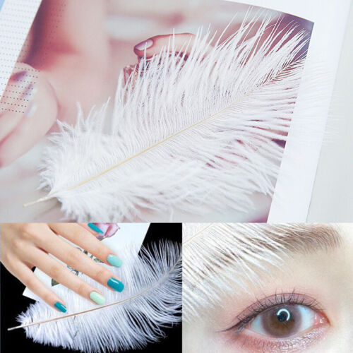 Nail art Feather Display Decorazione Feather Decoration Colorful Photography  - Foto 1 di 31