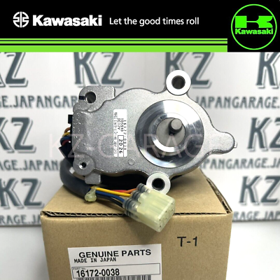 2012-2022 Kawasaki Teryx/Teryx4 Actuator 16172-0038 GENUINE 2012-2022 Kawasaki Teryx/Teryx4 Actuator 16172-0038 GENUINE