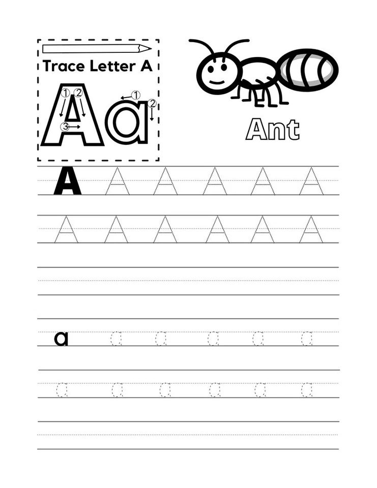 Libro de ejercicios de jardín de infantes 100 palabras a la vista para niños de 4 a 6 años educación preescolar PDF Foto 4 de 4