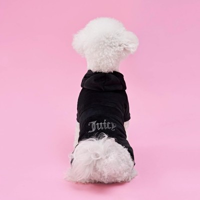Hooded Pet Juicy Bling Velour Tracksuit Chest 24 inches for Small Dogs and Ca...
